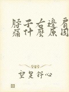 脖子右边肩膀疼痛什么原因