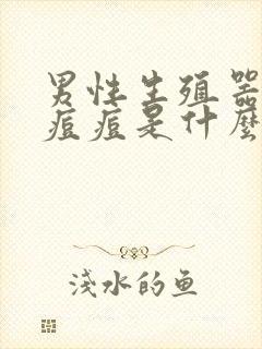 男性生殖器旁长痘痘是什么原因