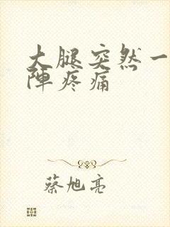 大腿突然一阵一阵疼痛封面