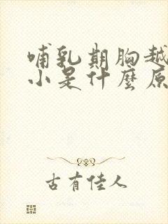 哺乳期胸越来越小是什么原因封面