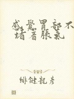 感觉胃部不消化 堵着胀气