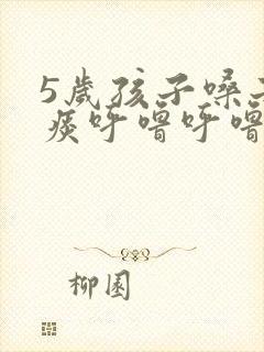 5岁孩子嗓子有痰呼噜呼噜的怎么办