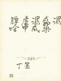 脾虚湿盛湿热吃啥中成药