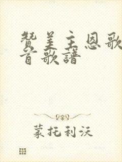 赞美主恩歌55首歌谱