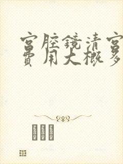 宫腔镜清宫手术费用大概多少钱封面