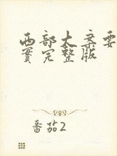 西部大案要案纪实完整版