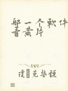 哪一个软件可以看黄片