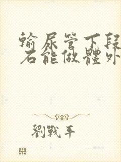 输尿管下段的结石能做体外碎石吗