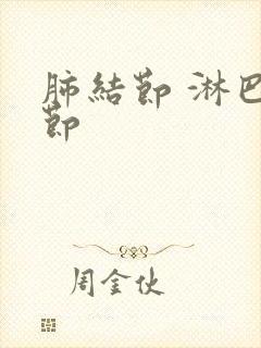 肺结节 淋巴结节