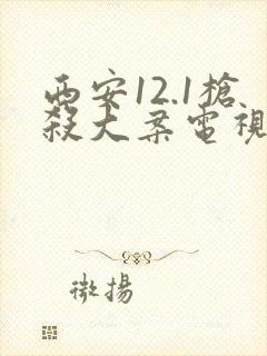 西安12.1枪杀大案电视剧封面