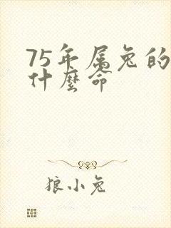 75年属兔的是什么命