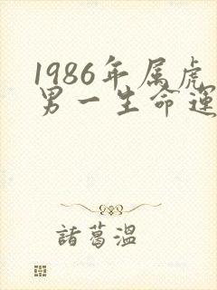 1986年属虎男一生命运封面
