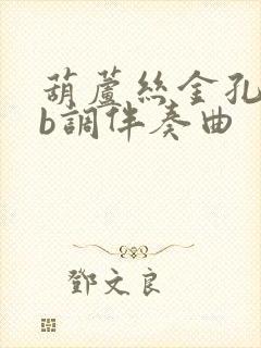 葫芦丝金孔雀降b调伴奏曲封面