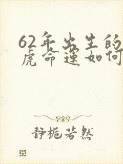 62年出生的女虎命运如何