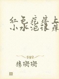 红色疙瘩上面有小水泡很痒