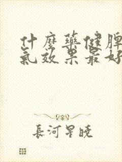 什么药健脾去湿气效果最好