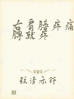 右肩膀疼痛抬胳膊就疼