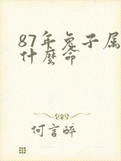 87年兔子属于什么命