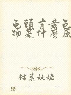 龟头有黄色分泌物是什么原因封面