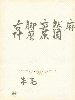 右脚突然麻木是什么原因