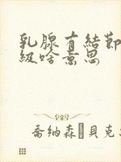 乳腺有结节4b级啥意思