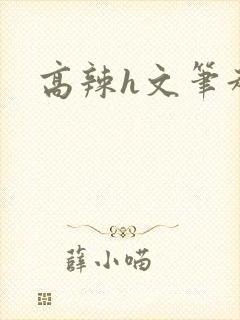 高辣h文笔趣阁