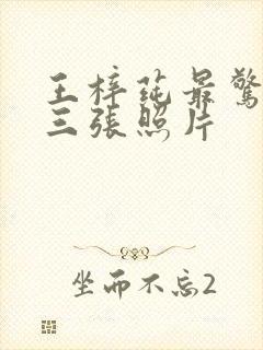 王梓莼最惊艳的三张照片封面