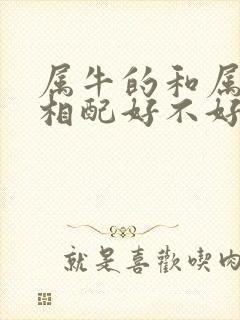 属牛的和属兔的相配好不好婚姻