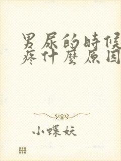 男尿的时候有点疼什么原因