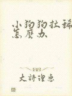 小狗狗拉稀带血怎么办