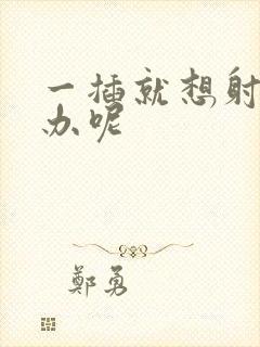 一插就想射怎么办呢封面