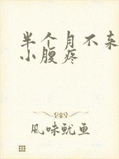 半个月不来月经小腹疼封面