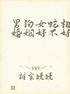 男狗女蛇相结合婚姻好不好