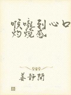 喉咙到心口都有灼烧感封面