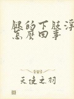 腿的下肢浮肿是怎么回事