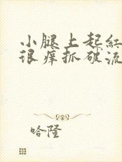 小腿上起红疙瘩很痒抓破流液体