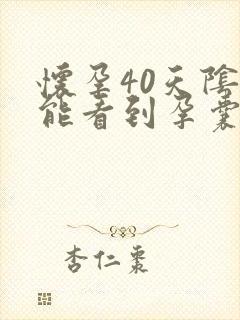 怀孕40天阴超能看到孕囊吗