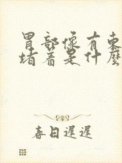 胃部像有东西堵堵着是什么原因