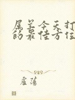 属羊今天打麻将的最佳方位