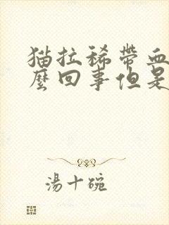 猫拉稀带血是怎么回事但是精神很好封面