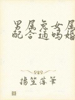 男属兔女属蛇婚配合适吗婚姻如何