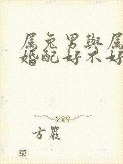 属兔男与属牛女婚配好不好