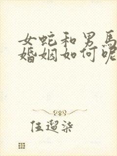 女蛇和男马相配婚姻如何呢封面