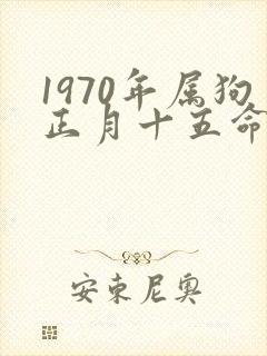 1970年属狗正月十五命运封面