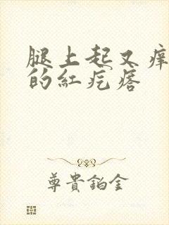 腿上起又痒又疼的红疙瘩