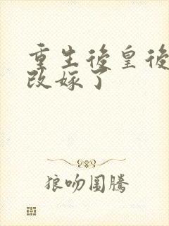 重生后皇后娘娘改嫁了