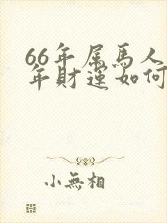 66年属马人今年财运如何