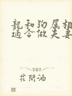 龙和狗属相合吗适合做夫妻吗