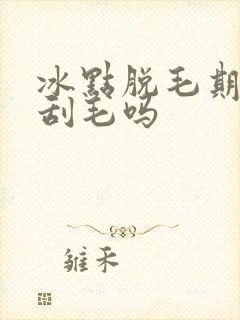 冰点脱毛期间能刮毛吗