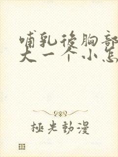 哺乳后胸部一个大一个小怎么办啊